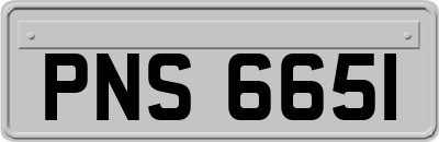 PNS6651