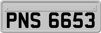 PNS6653