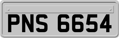 PNS6654