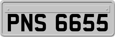 PNS6655