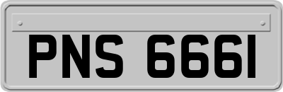 PNS6661