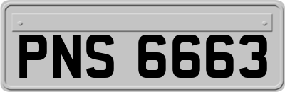 PNS6663