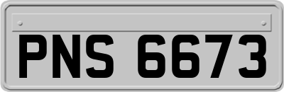 PNS6673