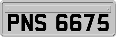 PNS6675
