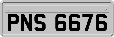 PNS6676