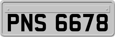 PNS6678