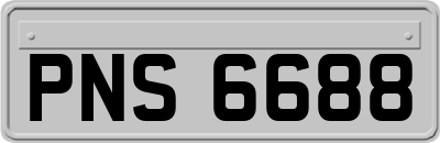 PNS6688