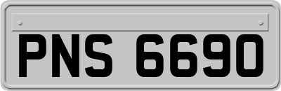 PNS6690