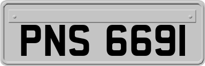 PNS6691