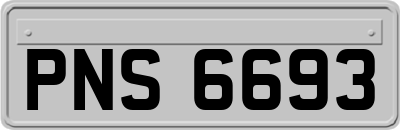 PNS6693