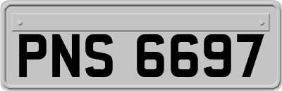 PNS6697