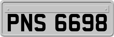 PNS6698