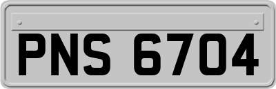 PNS6704