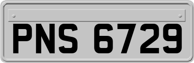 PNS6729