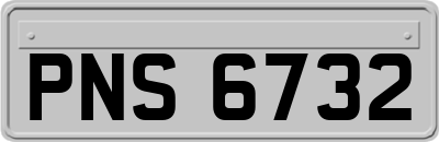 PNS6732