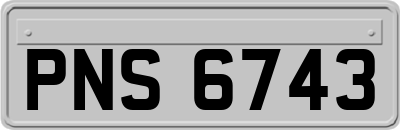 PNS6743