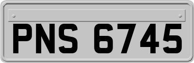 PNS6745