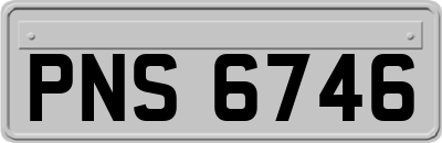PNS6746