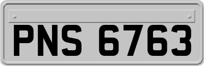 PNS6763