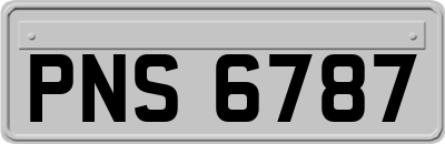 PNS6787