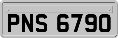 PNS6790