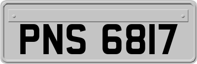 PNS6817