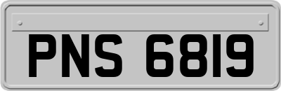 PNS6819
