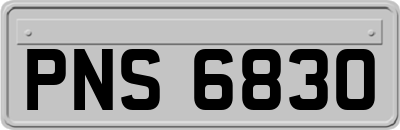 PNS6830