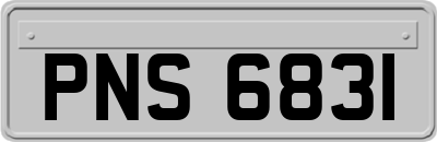 PNS6831