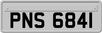 PNS6841