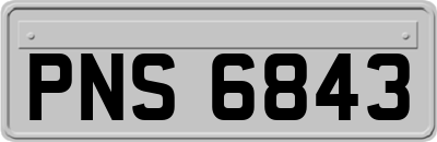 PNS6843