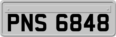 PNS6848