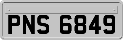 PNS6849