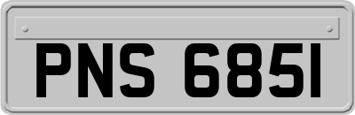 PNS6851