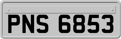 PNS6853