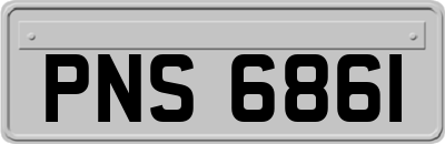 PNS6861