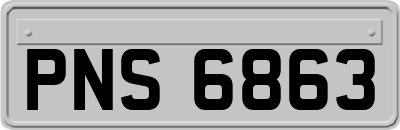 PNS6863