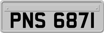 PNS6871