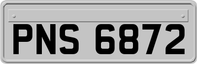 PNS6872