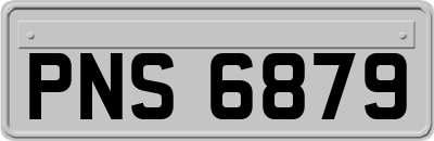 PNS6879