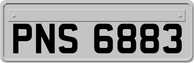 PNS6883