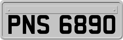 PNS6890