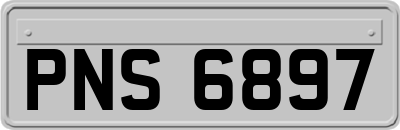 PNS6897