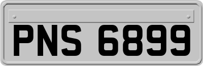 PNS6899