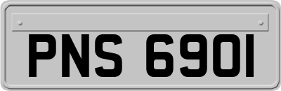 PNS6901