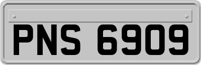 PNS6909