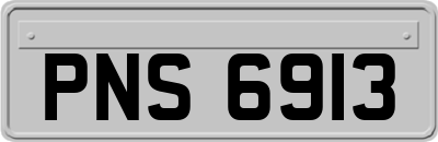 PNS6913