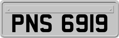PNS6919
