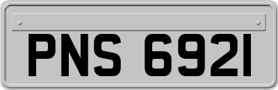 PNS6921