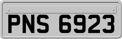 PNS6923